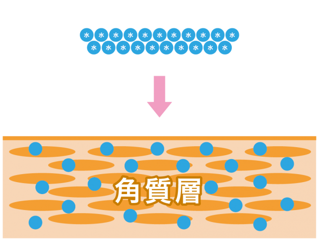 電解還元イオン水が角質層の内部にまで浸透して潤っている様子
