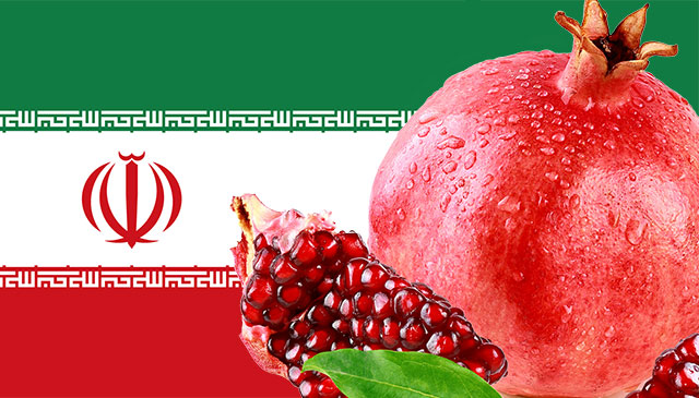 イラン国旗とイラン産ザクロ